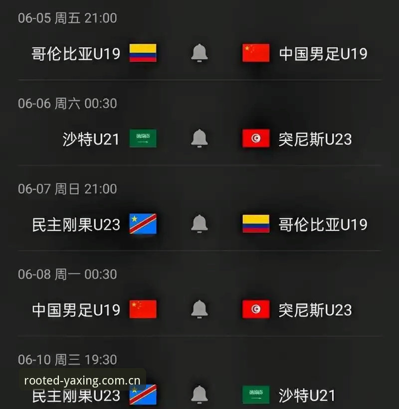亚星娱乐官方中国V3版本 U19国足土伦杯出局深度分析——从0-3惨败看青年队系统性困境